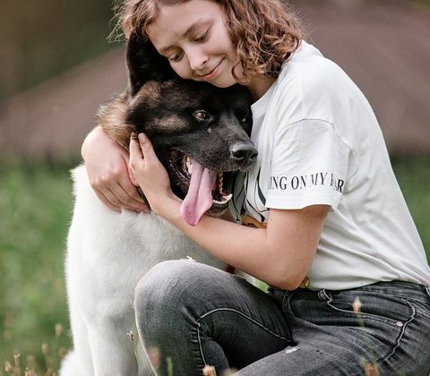 Traveling with Fido: What to Include in Your Dog Travel Bag