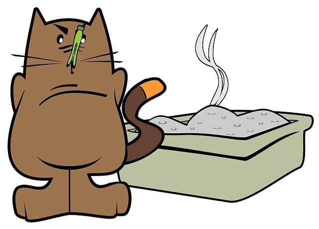 Understanding Your Cat’s Behavior for a stronger Bond