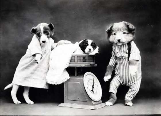 Puppy Parenting 101: Fun Tips for Happy, Healthy Tails!