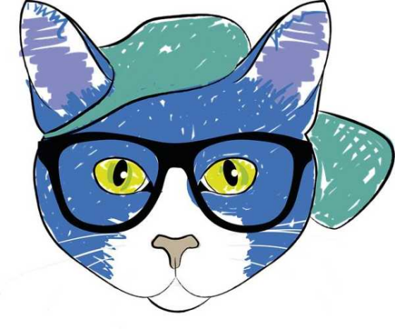 Feline Decor: Must-Have Cat Accessories for Your Home