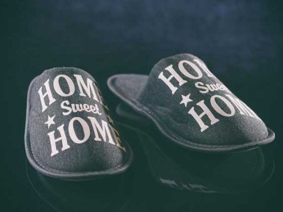 Home Sweet Home: Train Your Dog Like a Pro!