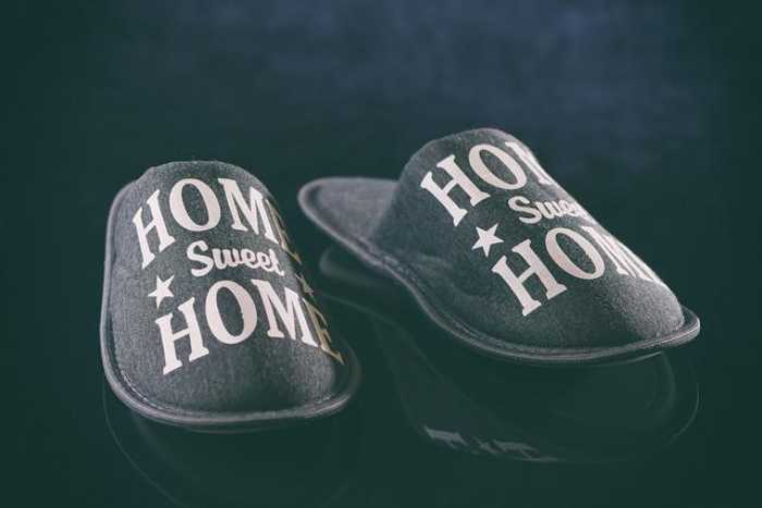 Home Sweet Home: Train Your Dog Like a Pro!