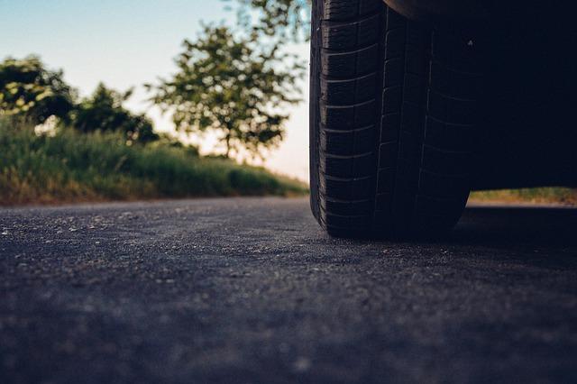 Must-Try Road Trip Activities for you and Your Canine Companion